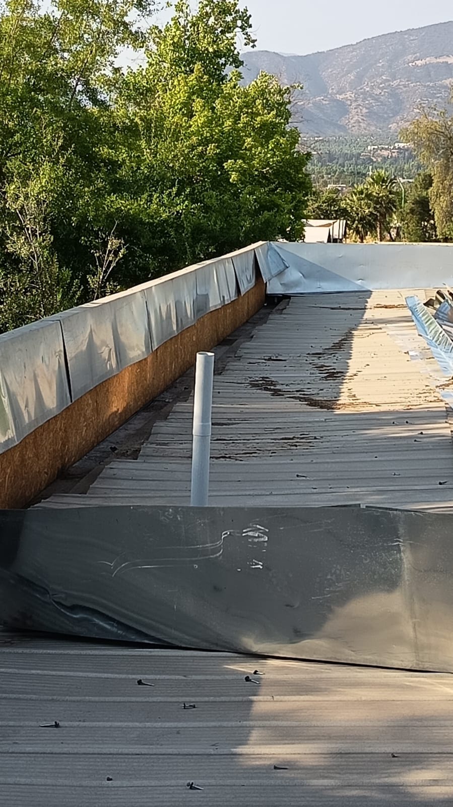 Colegio Hebreo · Reparación de filtraciones y cambio de canaletas